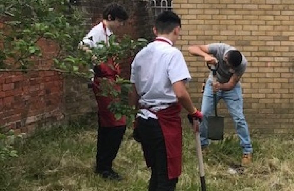 Gardening small